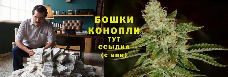 Конопля Bruce Banner  Агидель 